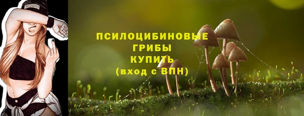 марки nbome Аркадак