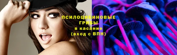 МДПВ Арсеньев