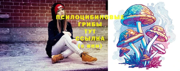 МДПВ Арсеньев
